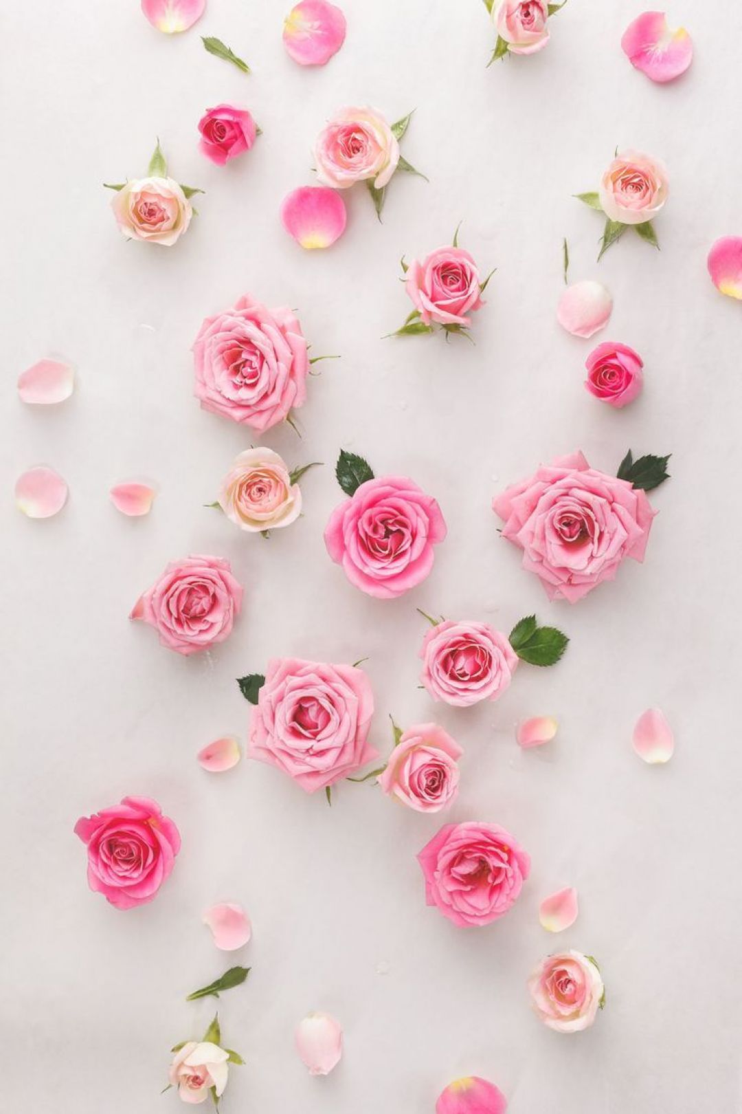 ✓[70+] rose design wallpaper vintage rose wallpaper - Top Background -  Android / iPhone HD Wallpaper Background Download (png / jpg) (2023)