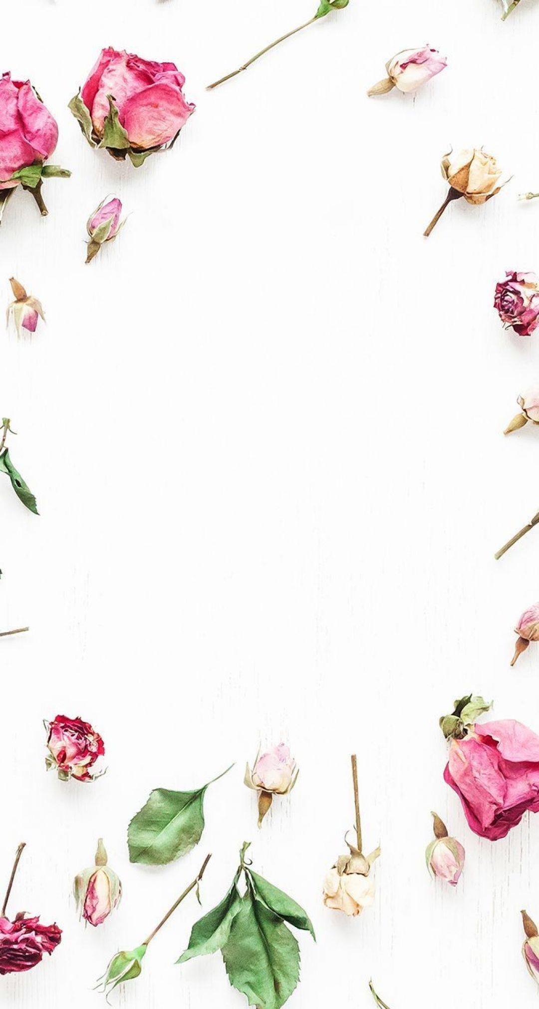 ✓[100+] Best Frame and white flowers Wallpaper (8 + Image) - Android /  iPhone HD Wallpaper Background Download (png / jpg) (2023)