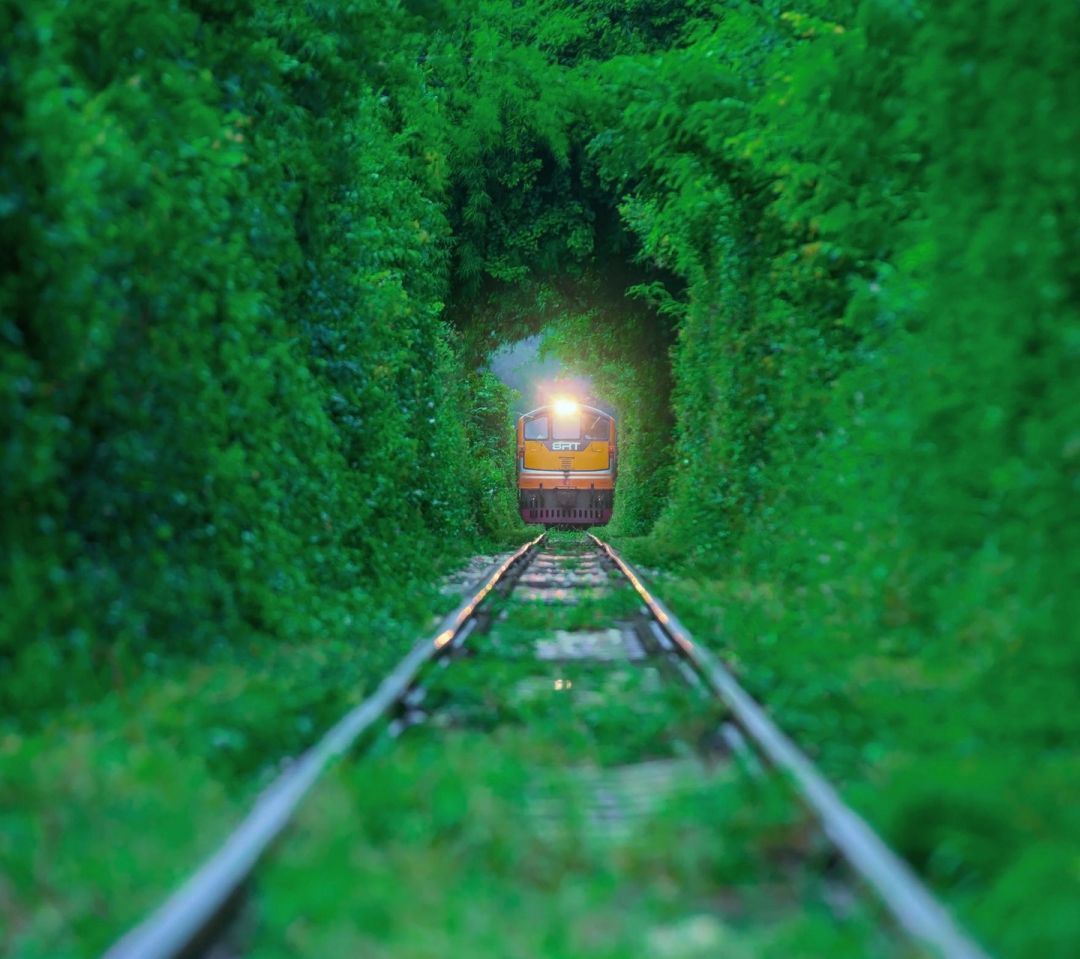 ✓[122195+] Train Trees Nature Railroad Track - Android / iPhone HD Wallpaper  Background Download (png / jpg) (2023)