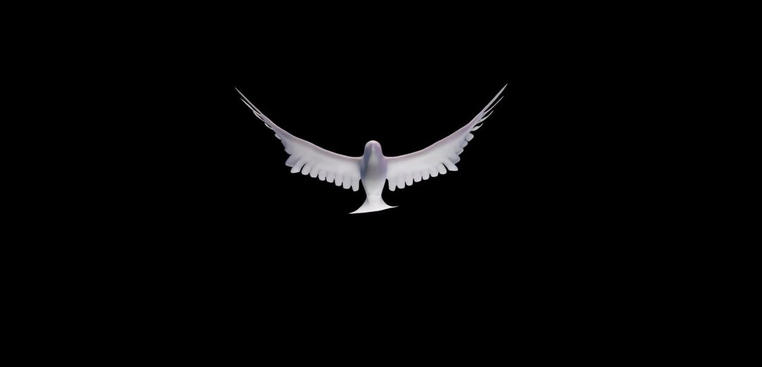 ✓[122195+] Animal Animation Cgi Dove Animated - Android / iPhone HD  Wallpaper Background Download (png / jpg) (2023)