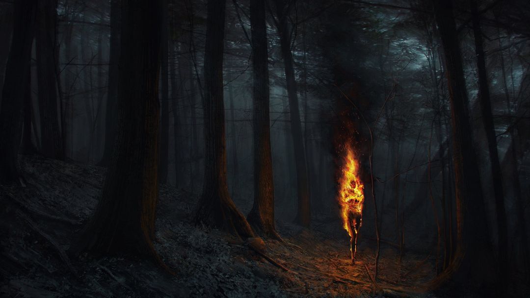 ✓[122195+] Dark Forest Dark Fantasy Fire Burning Fantasy Art - Android /  iPhone HD Wallpaper Background Download (png / jpg) (2023)