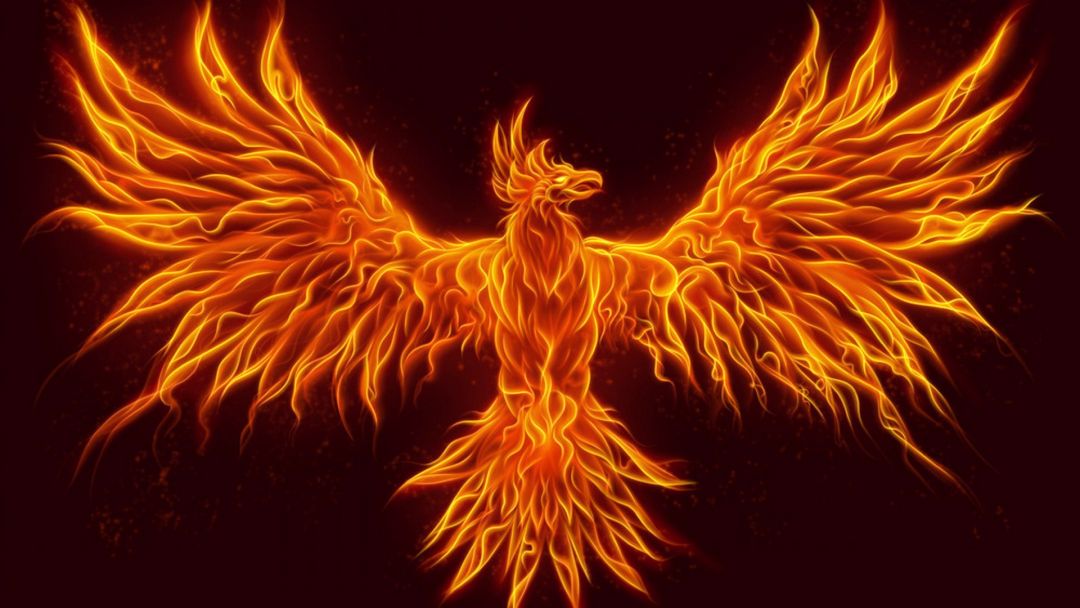 ✓[122195+] Birds Fire Phoenix Fire Fantasy Art Phoenix - Android / iPhone  HD Wallpaper Background Download (png / jpg) (2023)