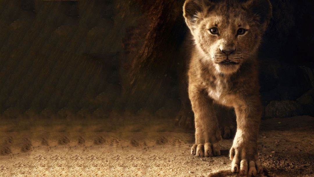 ✓[70+] The Lion King Simba 2019 4k, HD Movies, 4k Wallpaper - Android /  iPhone HD Wallpaper Background Download (png / jpg) (2023)