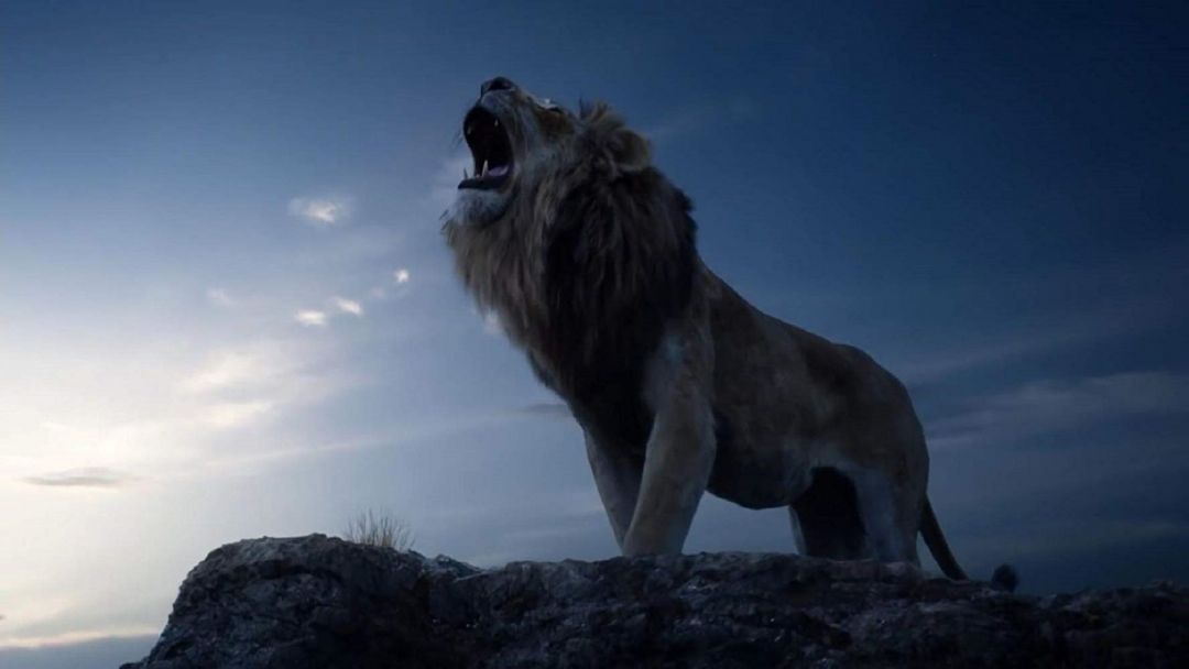 ✓[70+] The Lion King 2019 - Android, iPhone, Desktop HD Backgrounds /  Wallpapers (1080p, 4k) (png / jpg) (2023)
