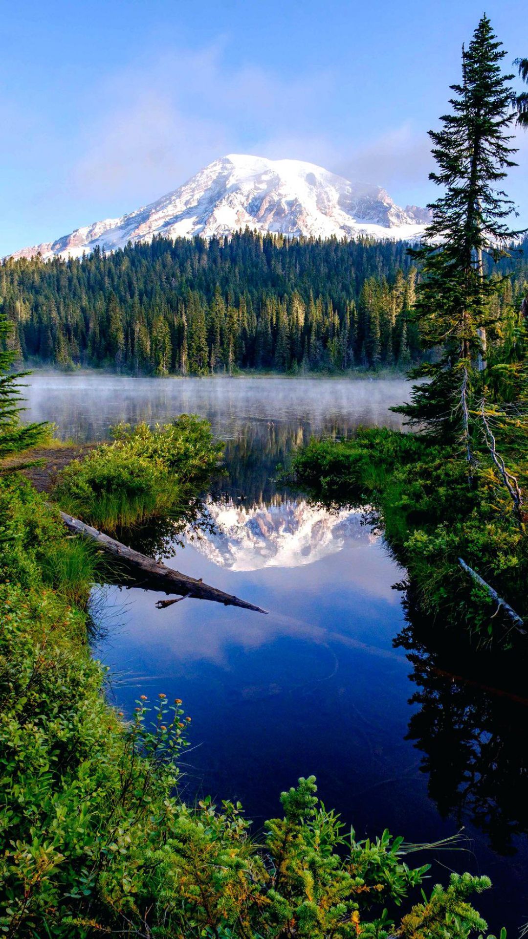 ✓[70+] American Landscape Wallpaper Mount Rainier National Park Mobile -  Android / iPhone HD Wallpaper Background Download (png / jpg) (2023)
