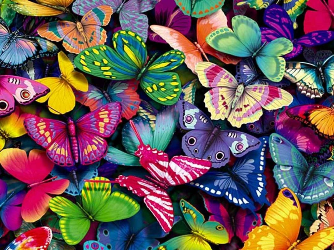 ✓[90+] Hearth Pinterest Butterflies, Butterfly Wallpaper And Wallpaper -  Android / iPhone HD Wallpaper Background Download (png / jpg) (2023)
