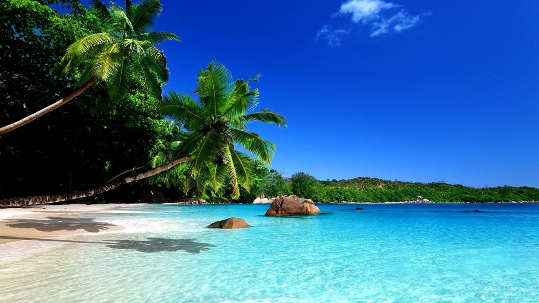✓[40+] Beaches: Blue Beach Nature Paradise Wallpaper Summer for HD 16:9 -  Android / iPhone HD Wallpaper Background Download (png / jpg) (2023)