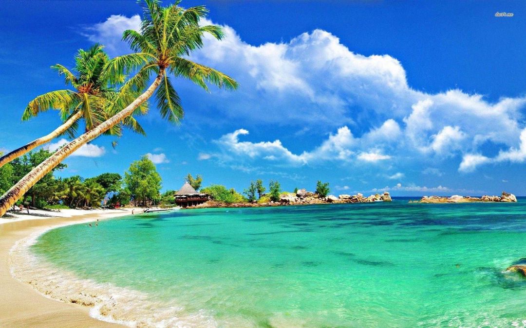 ✓[110+] Tropical Beach Desktop Wallpaper Photo For iPhone Computer -  Android / iPhone HD Wallpaper Background Download (png / jpg) (2023)