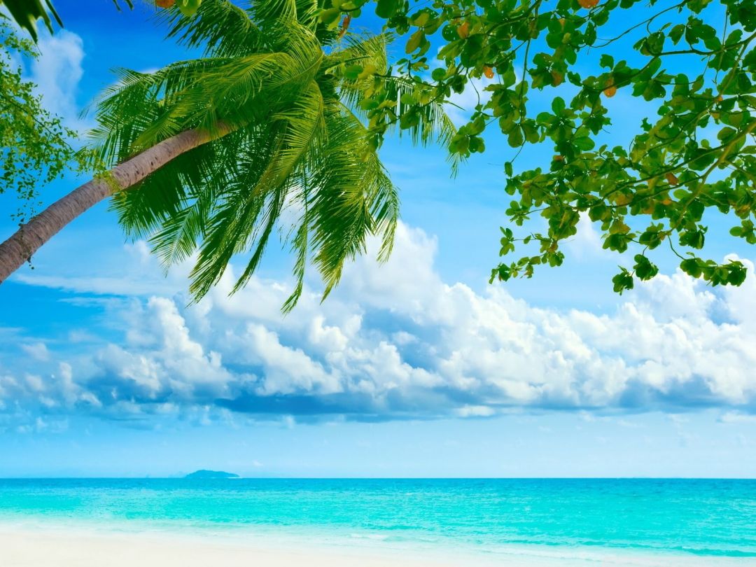 ✓[110+] Tropical Beach Resorts ❤ 4K HD Desktop Wallpaper for 4K Ultra HD TV  - Android / iPhone HD Wallpaper Background Download (png / jpg) (2023)