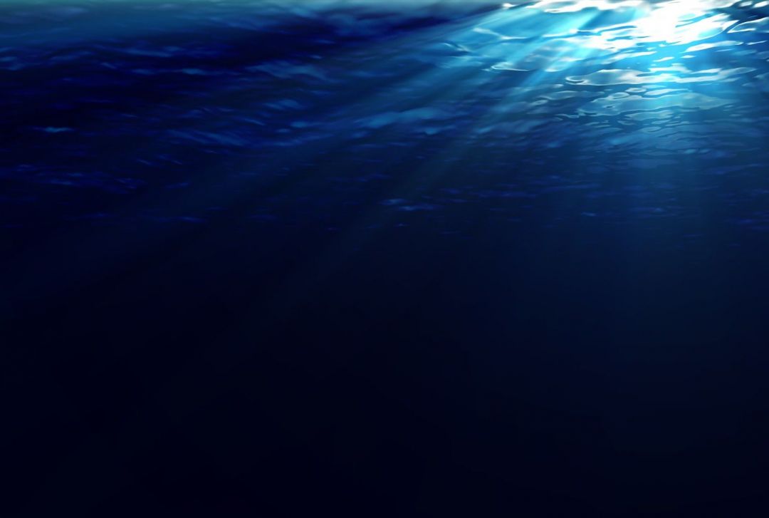 ✓[115+] UNDERWATER WALLPAPER 4 - Android / iPhone HD Wallpaper Background  Download (png / jpg) (2023)