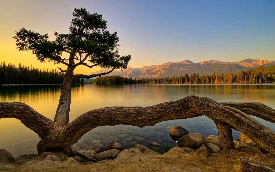 ✓[125+] Fondos Paisajes Naturales Naturaleza Zen Beautiful Scenery Relaxing  - Android / iPhone HD Wallpaper Background Download (png / jpg) (2023)