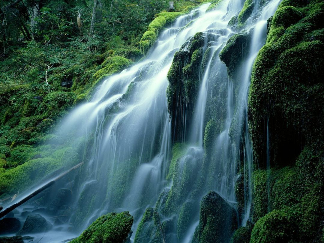 ✓[35+] Waterfall Wallpaper and Background Image - Android / iPhone HD  Wallpaper Background Download (png / jpg) (2023)
