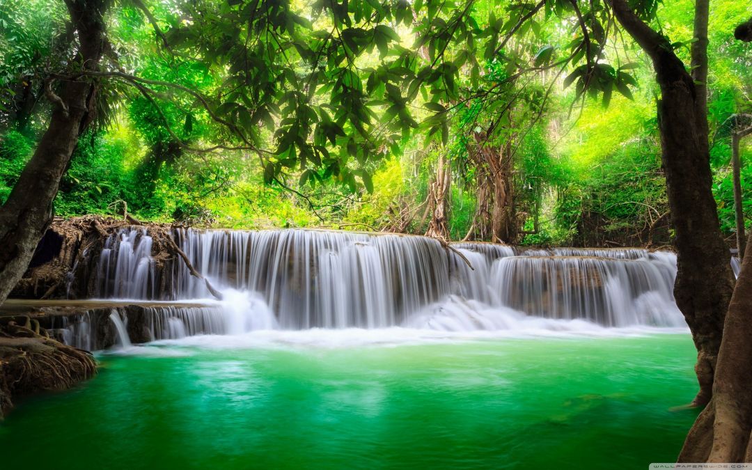 ✓[35+] Green Tropical Waterfall ❤ 4K HD Desktop Wallpaper for 4K Ultra HD -  Android / iPhone HD Wallpaper Background Download (png / jpg) (2023)