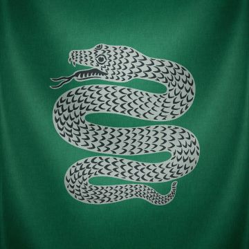 Hd slytherin - Android, iPhone, Desktop HD Backgrounds / Wallpapers (1080p, 4k)