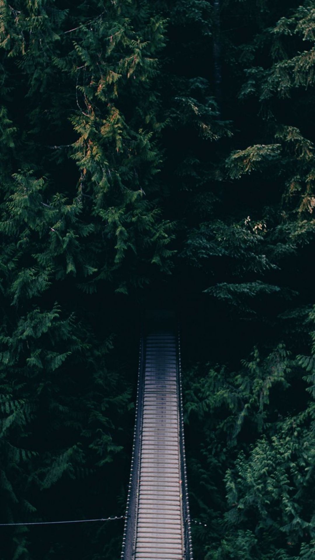✓[50+] Background  kb, Bridge in the forest. 736x1308 - s - Android /  iPhone HD Wallpaper Background Download (png / jpg) (2023)