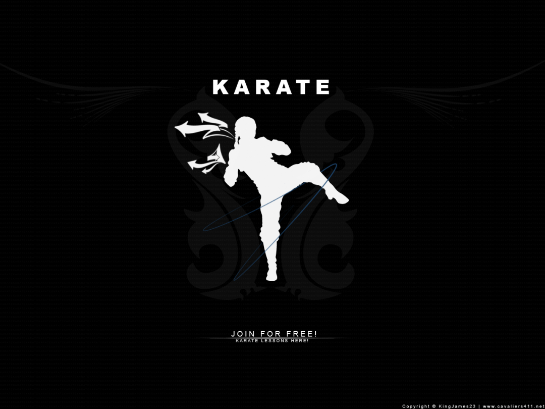 ✓[100+] Karate Wallpaper, Top Beautiful Karate Picture, 771 4K Ultra HD -  Android / iPhone HD Wallpaper Background Download (png / jpg) (2023)
